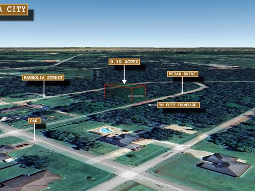 .19 Acre in Brazoria, $250 a Month : Brazoria : Texas