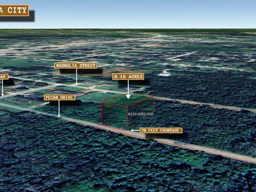 .19 Acre in Brazoria, $250/Mo : Brazoria : Texas