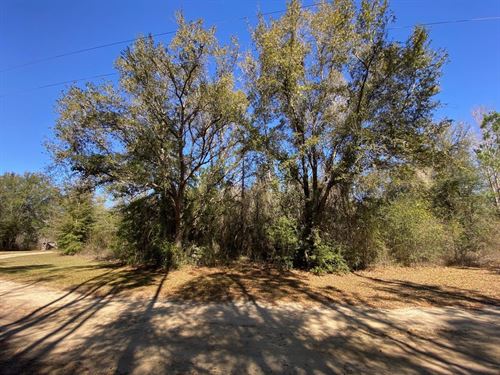 6 Ac Homesite, Mini-Farm, Homestead : Blountstown : Calhoun County : Florida
