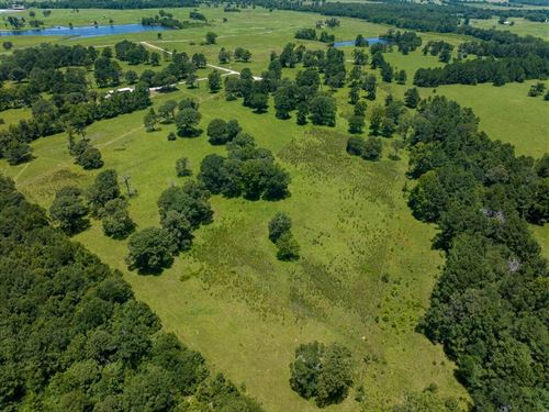 10 Acres, Live Oak Court : Crockett : Houston County : Texas