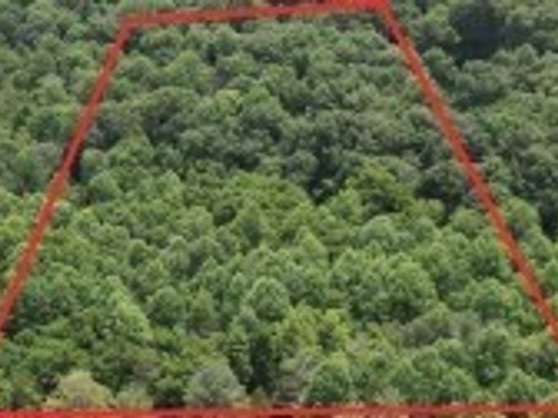 Land for Sale in Martin County : Shoals : Martin County : Indiana