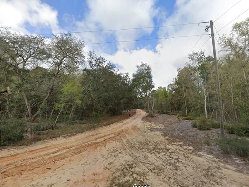 Unplug & Own It with $149 Down : Interlachen : Putnam County : Florida
