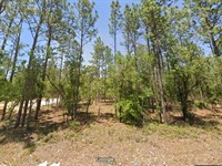 Tranquil Living Just $299 Down : Dunnellon : Marion County : Florida