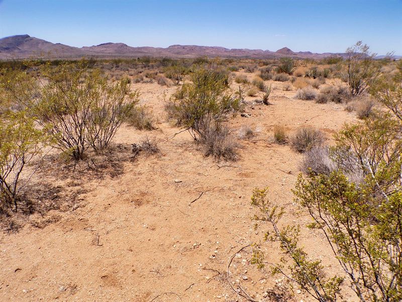 Your Own 1 Acre Stargazer's Retreat : Golden Valley : Mohave County : Arizona