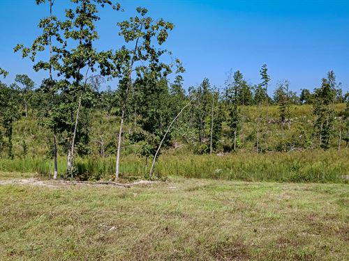 Quaint Town Of Thomasville MO : Thomasville : Oregon County : Missouri