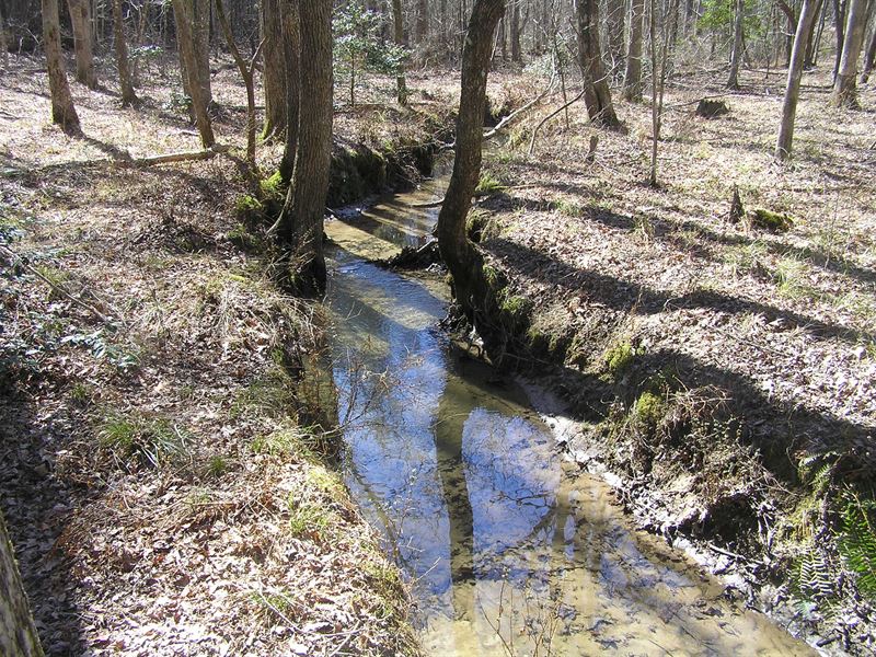 Creek Woods Homesite Rural : Spencer : Van Buren County : Tennessee