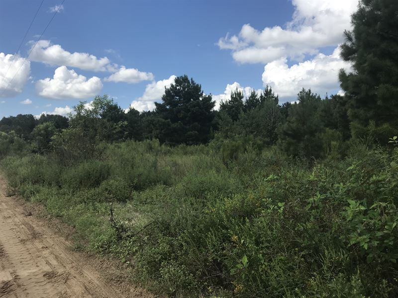 Ennis School Homeplace : Sylvania : Screven County : Georgia