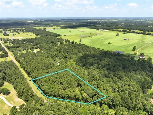 5 Acres, County Road 344 : Navasota : Grimes County : Texas