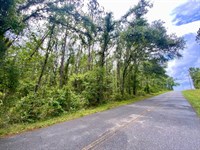 5.5 Acre Homesite : Lee : Madison County : Florida