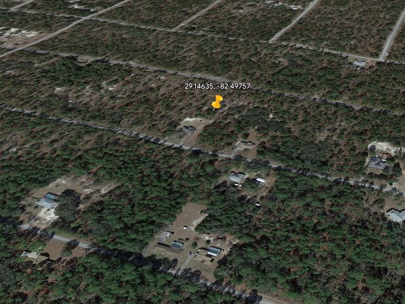 Private Lot, Tiny Price at $99 Down : Dunnellon : Marion County : Florida