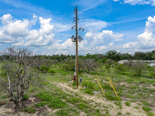 Tindel Camp Grove : Lake Wales : Polk County : Florida