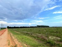 Lake Bella Road Transitional Land : Lake Wales : Polk County : Florida