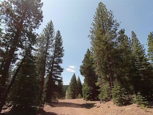 One Acre Secluded Lot in CA : Alturas : Modoc County : California
