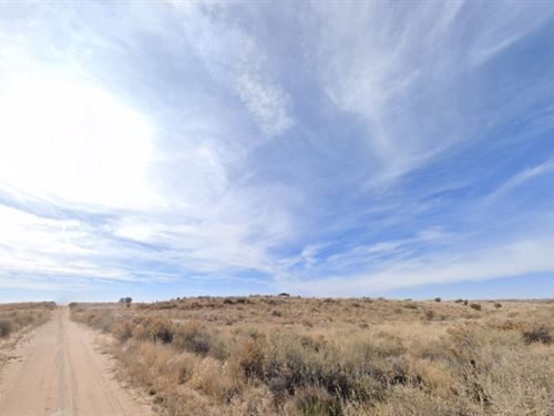 .50 Acre in Rio Rancho New Mexico : Rio Rancho : Sandoval County : New Mexico