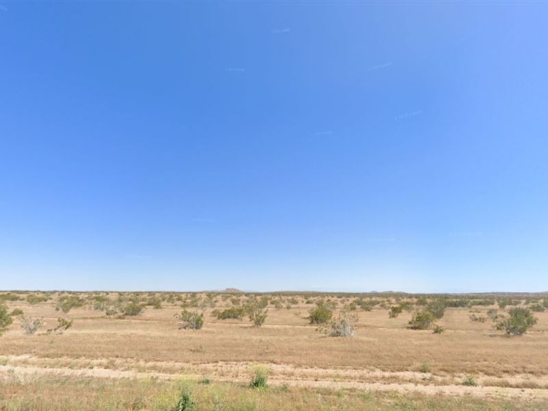 .25 Acre Lot in California City : California City : Kern County : California