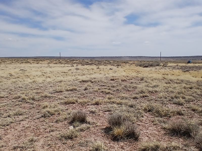 1 Acre Lot in Apache County AZ : Chambers : Apache County : Arizona