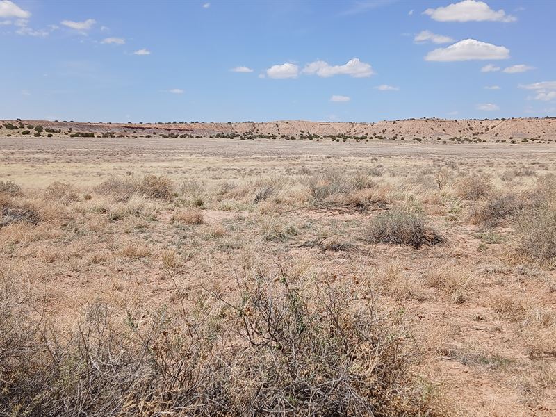1 Acres Near AZ Desert : Chambers : Apache County : Arizona