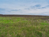 3.2+ Acres Near Austin, TX : Kingsbury : Guadalupe County : Texas