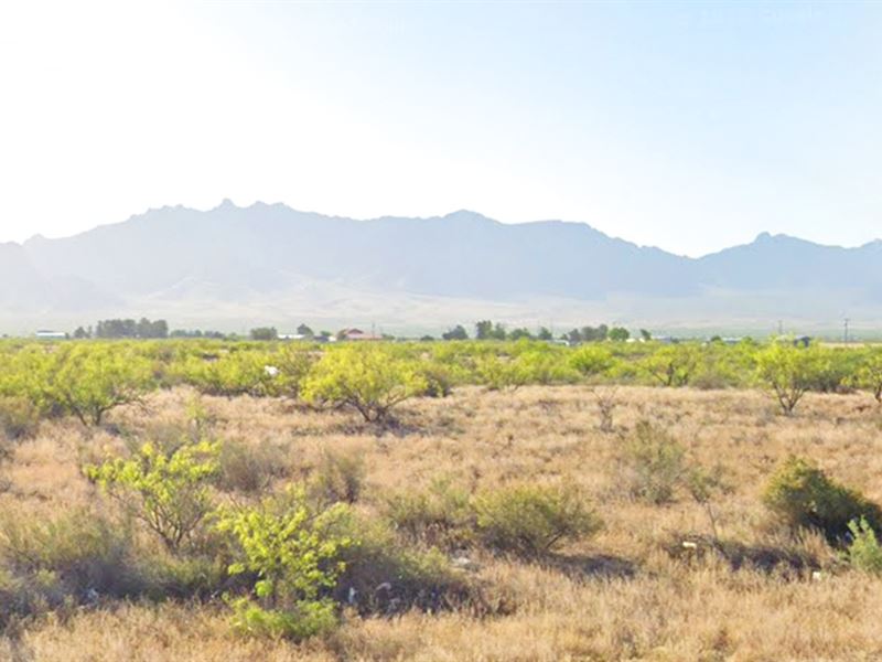 Half Acre in Deming City, Luna, NM : Deming : Luna County : New Mexico