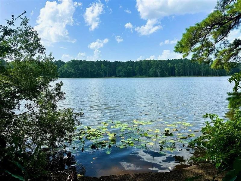 Lake Dixie Springs Lakefront Lot Fo : Summit : Pike County : Mississippi