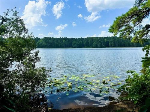 Lake Dixie Springs Lakefront Lot fo : Summit : Pike County : Mississippi