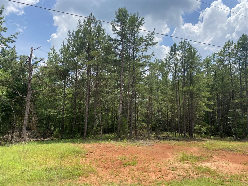 TN Land for Sale To Build On, 6Ac : Savannah : Hardin County : Tennessee