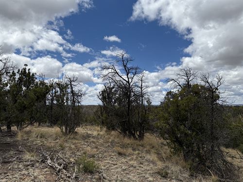 2.5 Acres in Cibola, NM Off-Grid : Ramah : Cibola County : New Mexico