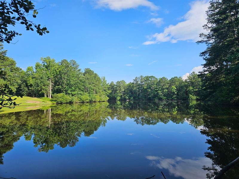 Cherokee Trail w. 5 Ac. Pond : Piedmont : Calhoun County : Alabama