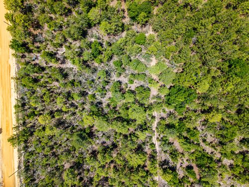 .22 Ac FL Land, Road & Power : Interlachen : Putnam County : Florida