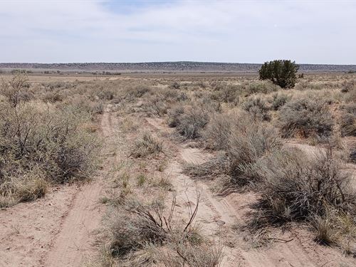 1 Ac for Apache Camping : Sanders : Apache County : Arizona