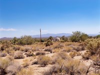2.35 Acre Arizona Desert Kingdom : Yucca : Mohave County : Arizona