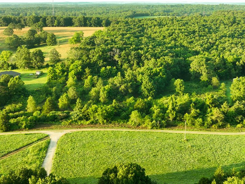 Burnham Lane : Willow Springs : Howell County : Missouri