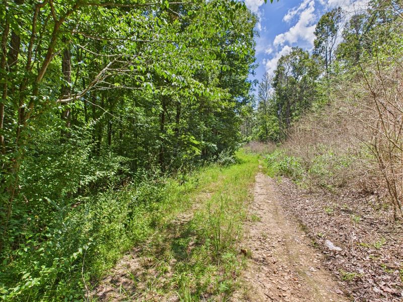 Affordable Lot Near Lake Wappapello : Wappapello : Wayne County : Missouri