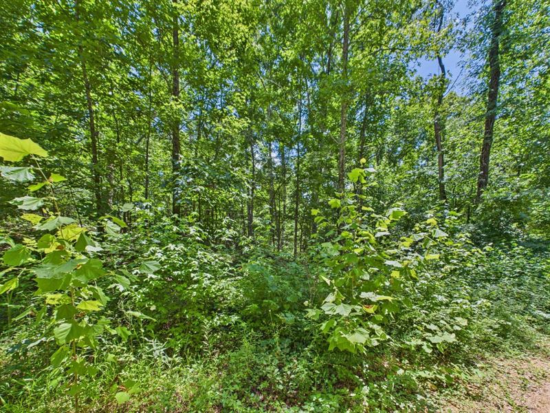 Lot for Sale in Wappapello, MO : Wappapello : Wayne County : Missouri
