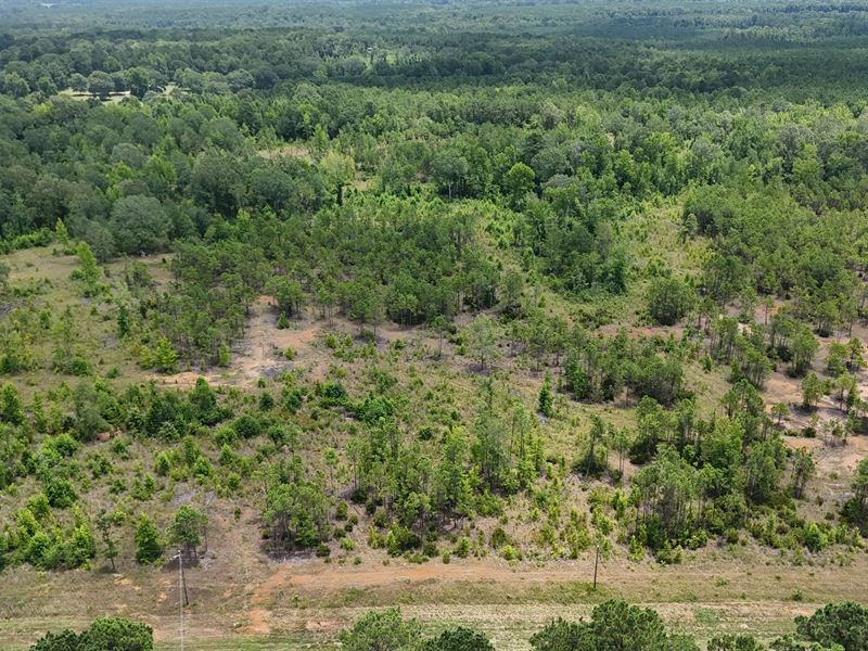 Vacant Land for Sale Ruston, Louisi : Ruston : Lincoln Parish : Louisiana