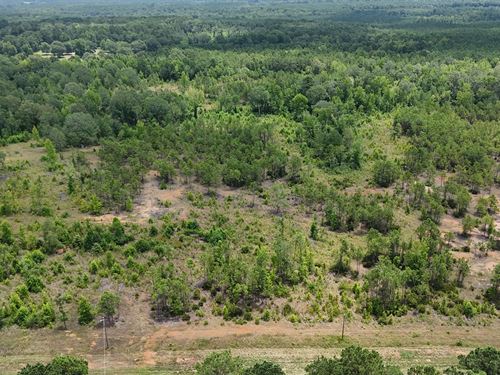 Vacant Land For Sale Ruston, Louisi : Ruston : Lincoln Parish : Louisiana