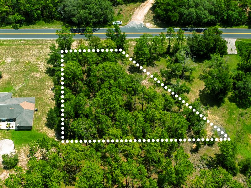 .42 Acre Florida Lot with No HOA : Interlachen : Putnam County : Florida