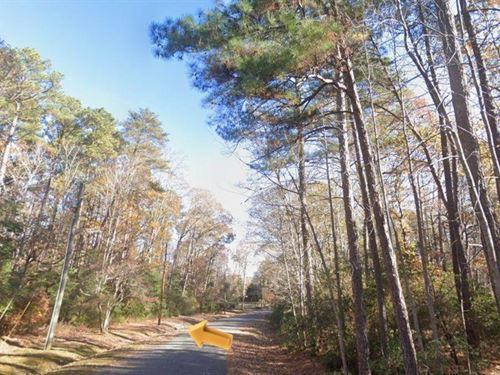 Dreaming of Life by The Water in VA : Lancaster : Virginia