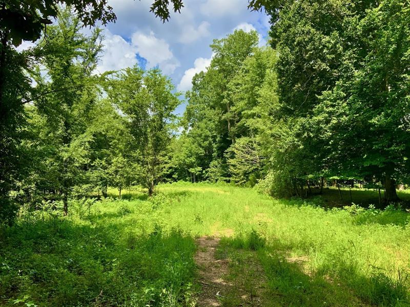Private 5.04 Acre Lot with Power : Henry : Henry County : Tennessee