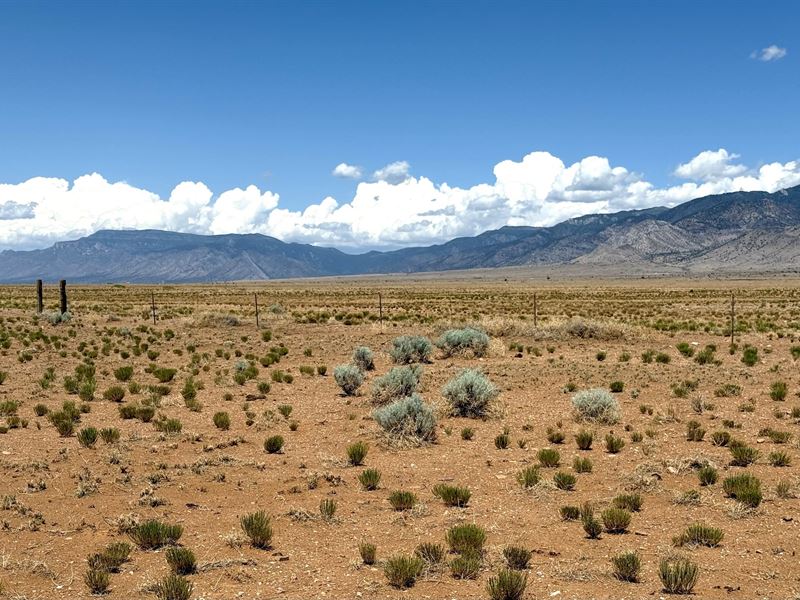 Land Near Manzano Mountains : Belen : Valencia County : New Mexico