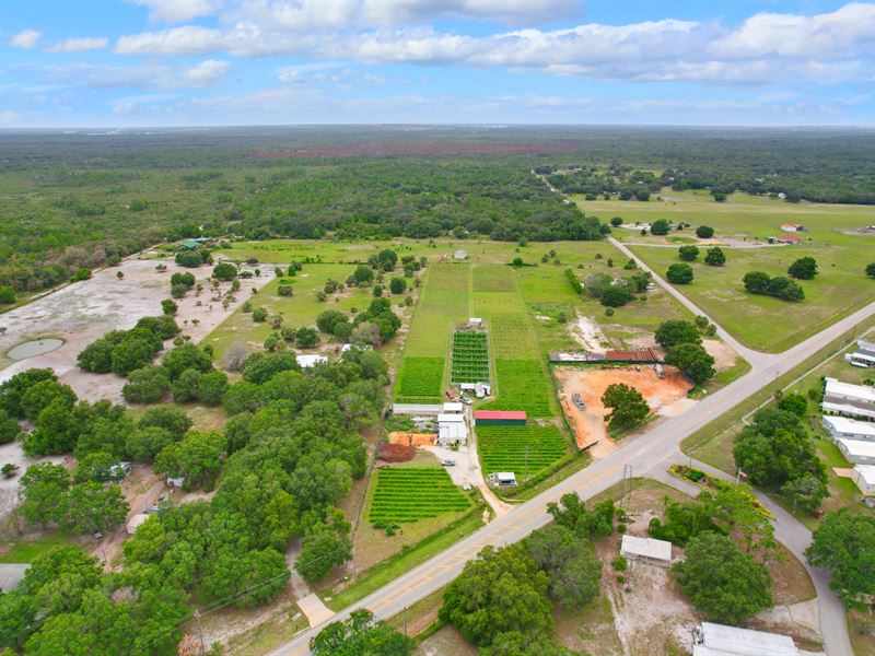 Certified Organic Farm Fertile AC : Lake Wales : Polk County : Florida