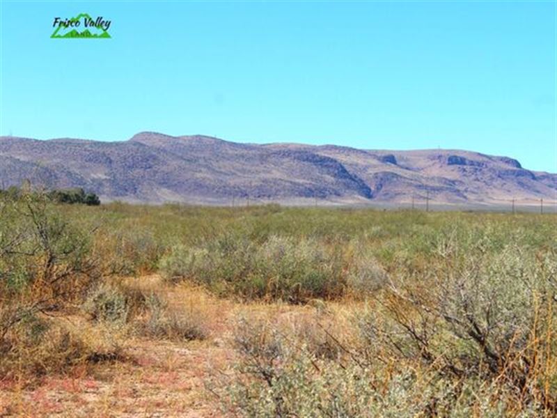 3 Acres for $100/Mo : Deming : Luna County : New Mexico