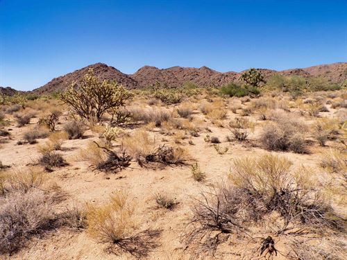 Dream Life on 1.89 Acres in Arizona : Yucca : Mohave County : Arizona