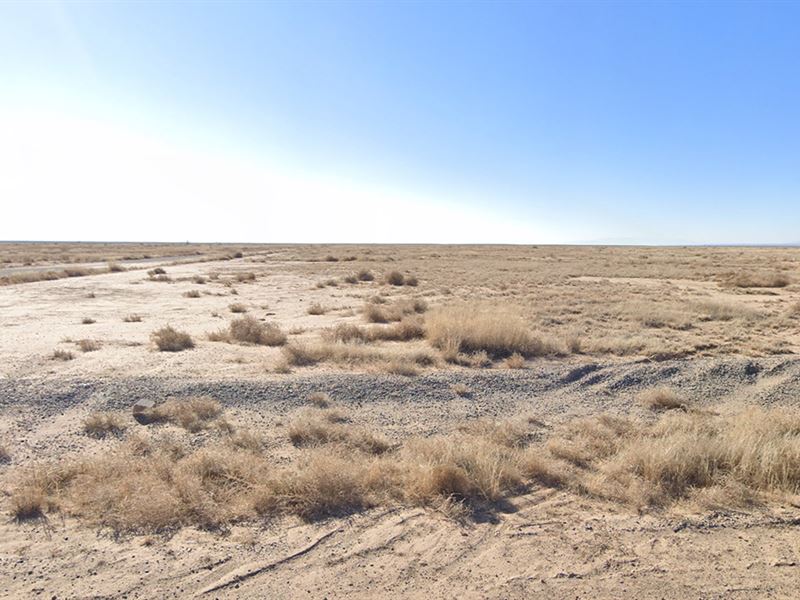 Quarter Acre in Valencia, NM : Los Lunas : Valencia County : New Mexico