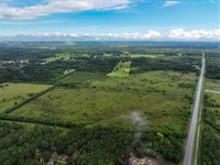 Trinity, TX Lot, Dirt Road Access : Trinity : Walker County : Texas