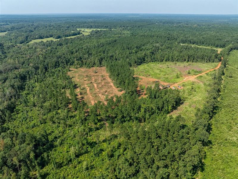 1 Acre Lot, Chireno, TX Hideaway : Chireno : Nacogdoches County : Texas