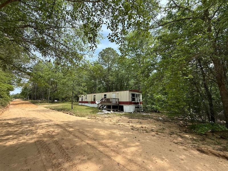 11 Acres of Trees and Nature : Barnwell : Barnwell County : South Carolina
