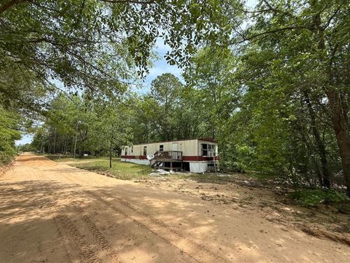 11 Acres of Trees and Nature : Barnwell : South Carolina