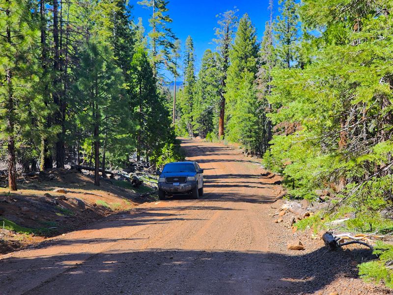 No Back Taxes for Homes and Rentals : Alturas : Modoc County : California