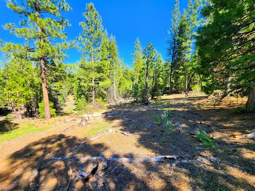 No Back Taxes for Homes and Rentals : Alturas : Modoc County : California